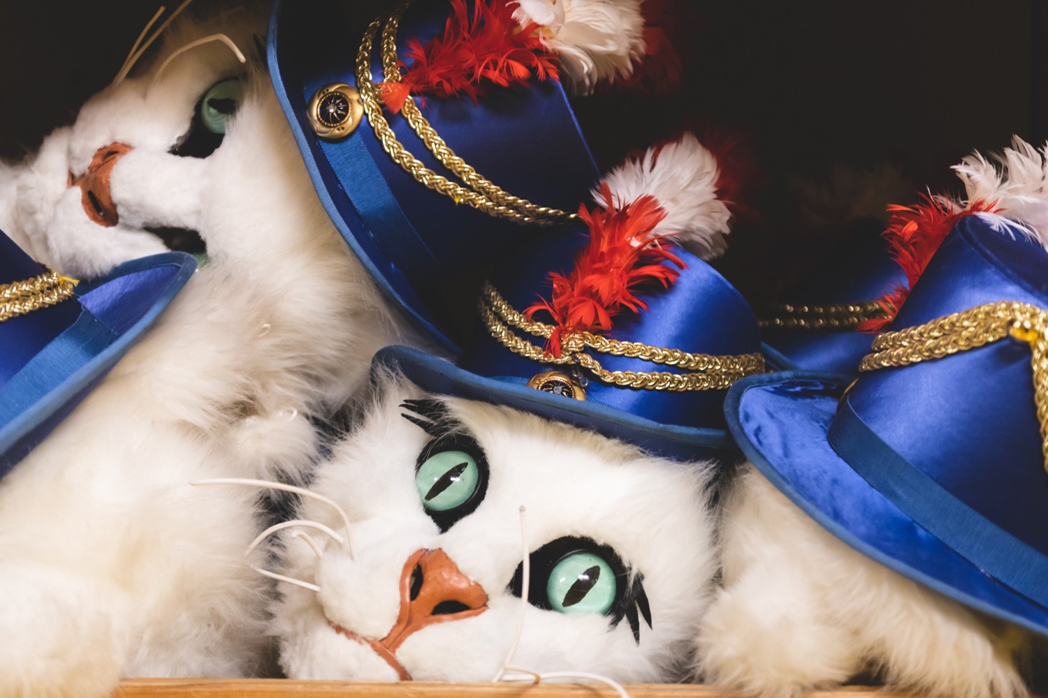 Photo Story about Life Ball