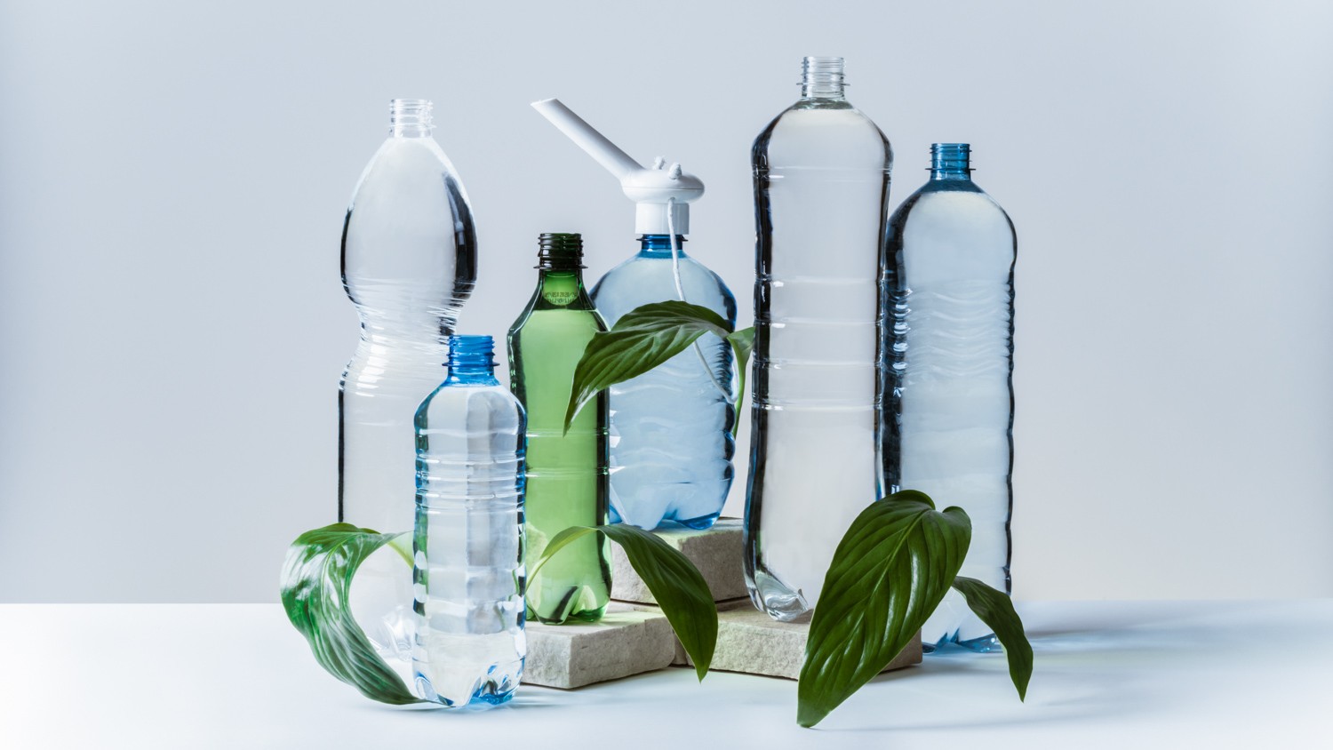 Still Life Photography