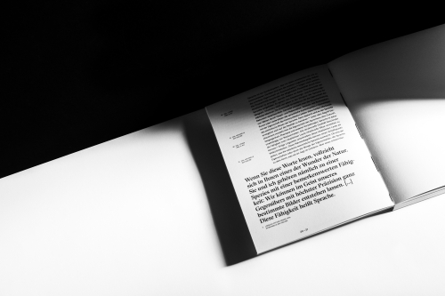 Weltsprachen &ndash; Sprachwelten