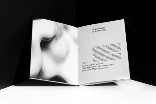 Weltsprachen &ndash; Sprachwelten